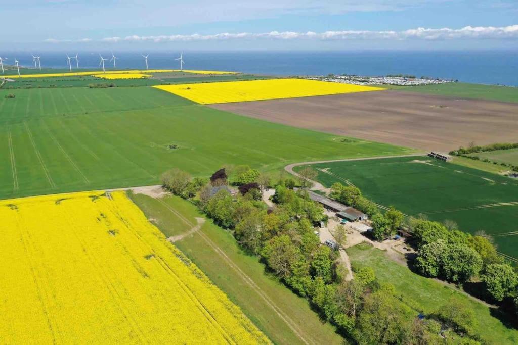 Loft Auf Fehmarn 800M Zum Strand Dış mekan fotoğraf